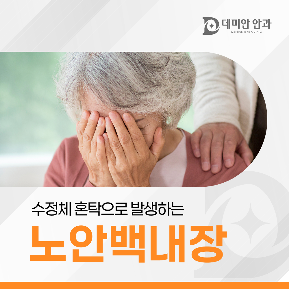 이미지 없음